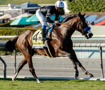 2021-1002_Going to Vegas_kcp (1)