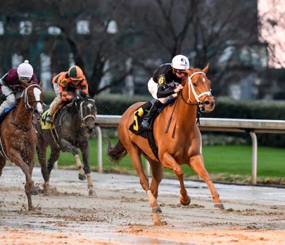 21228_hr_BA01149 (1)