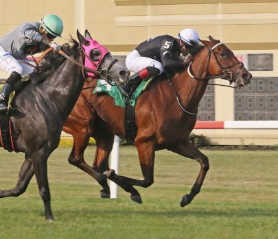 's Alibi_Penn National Win-3