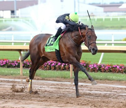 SIXTYTHREECALIBER080922R09INDFinish02_1660094108945 (1)