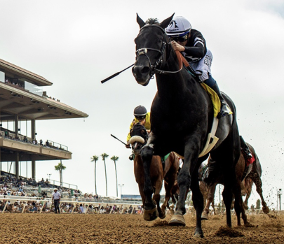 Screenshot 2026-02-19 at 11.56.36 AM