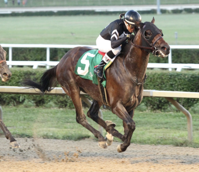 Screenshot 2026-02-19 at 12.10.51 PM