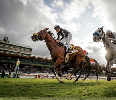 Screenshot 2026-02-24 at 1.06.10 PM