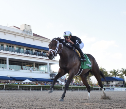 Trainer Page Assets-4